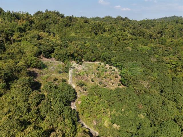 高雄大樹農地-1