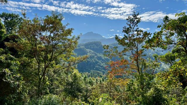 新竹北埔山坡地-11
