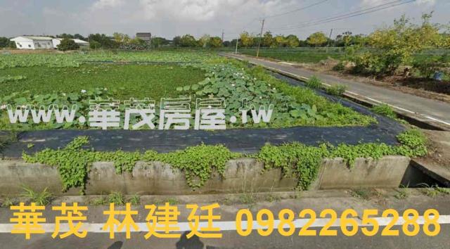 官田法拍農地-3