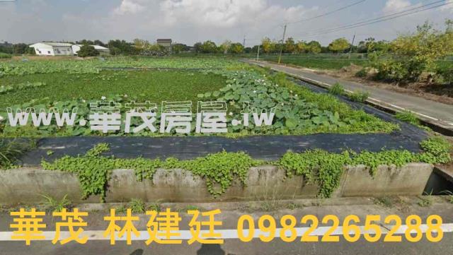 官田法拍農地-4