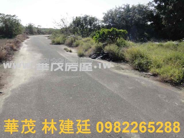 將軍法拍農地-1