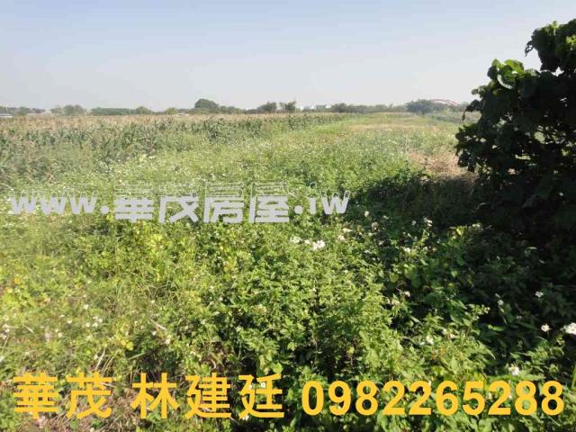 將軍法拍農地-3