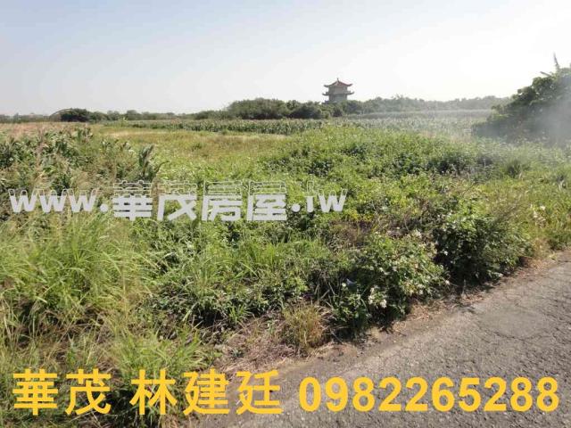 將軍法拍農地-4