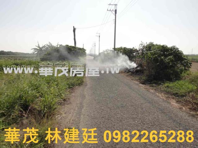 將軍法拍農地-6