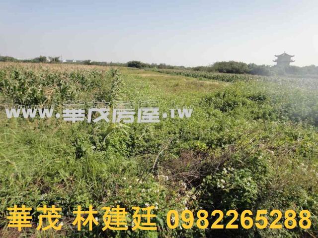 將軍法拍農地-7