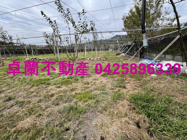 苗栗卓蘭農地-6