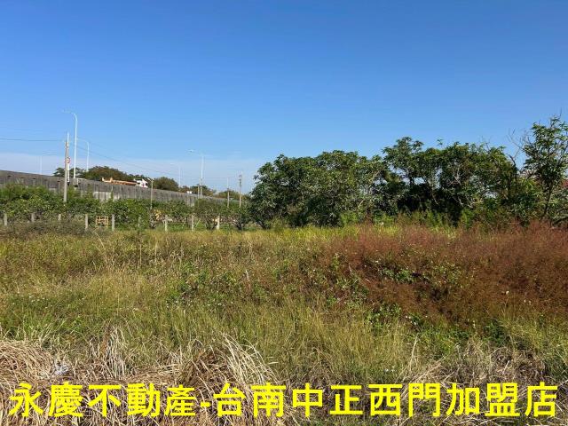 台南麻豆農地-9