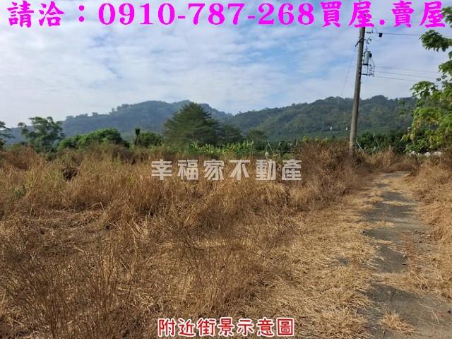 台南楠西農地-6