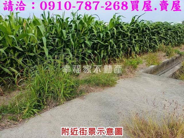 台南西港農地-5