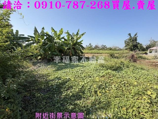 台南鹽水建地-13