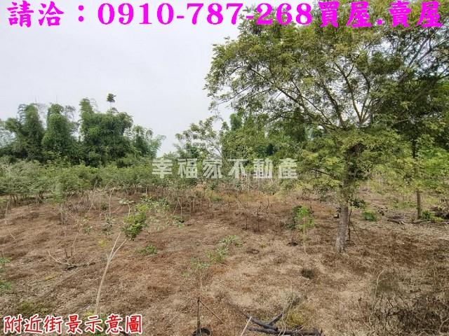 台南新市農地-14