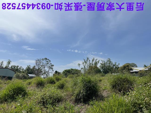 台中后里農地-2
