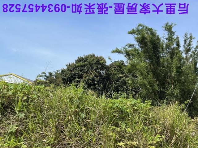 台中后里農地-5