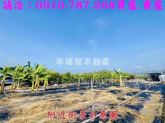 台南楠西農地-13