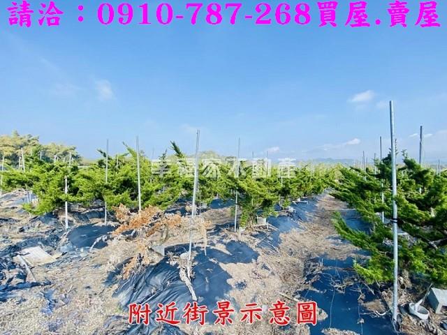 台南楠西農地-8