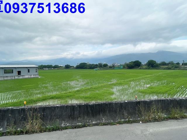 宜蘭礁溪農地-12