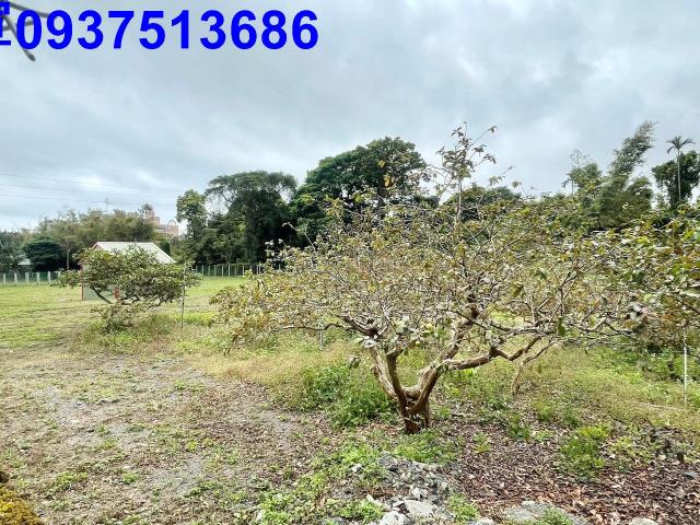 宜蘭頭城工業地-14