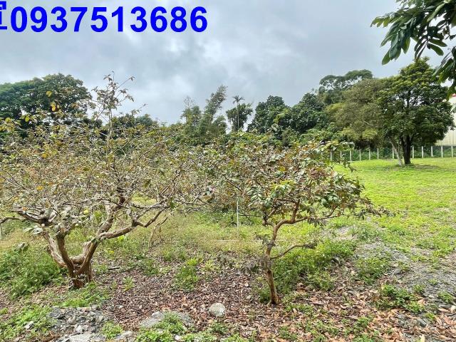 宜蘭頭城工業地-5