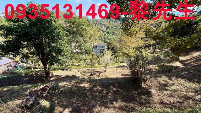 新竹峨眉農地-11