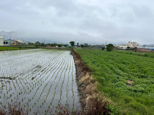 台中農地-3