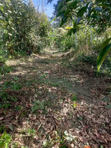 台中太平農地-12