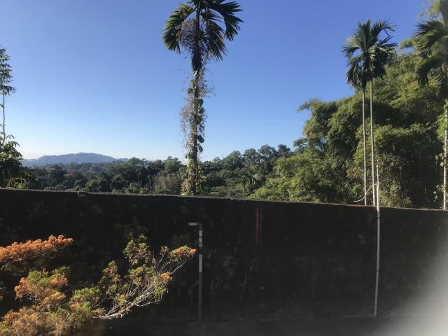 台中太平農地-4