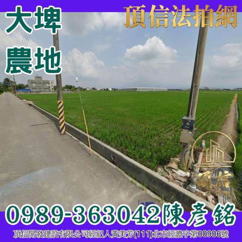 雲林大埤法拍農地-2