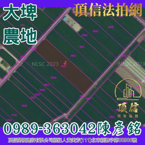 雲林大埤法拍農地-4