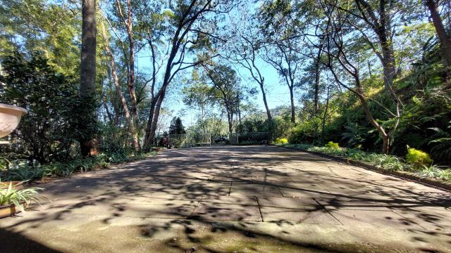 新竹橫山林地-14