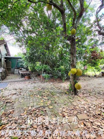 台南鹽水建地-1