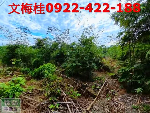 宜蘭員山農地-9