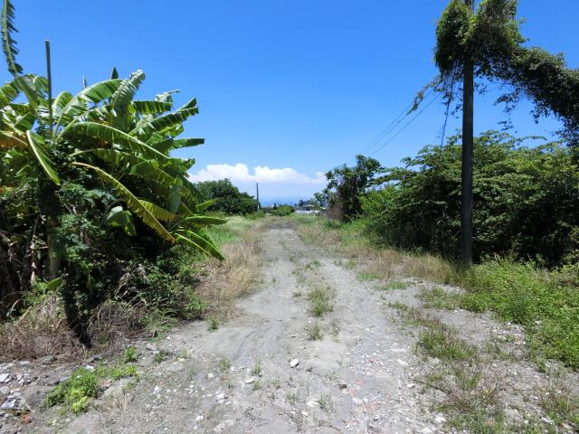 屏東東港工業地-10