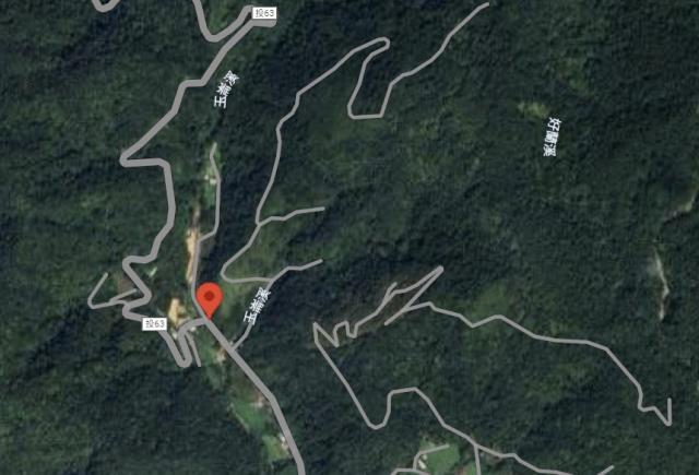 信義鄉山坡地法拍-2