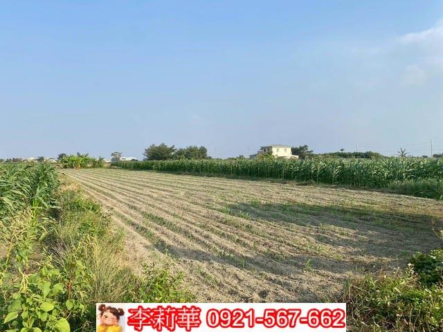 七股農地-5