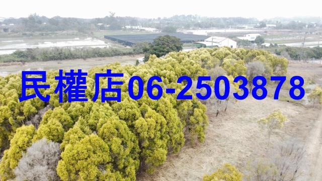 台南農地-15