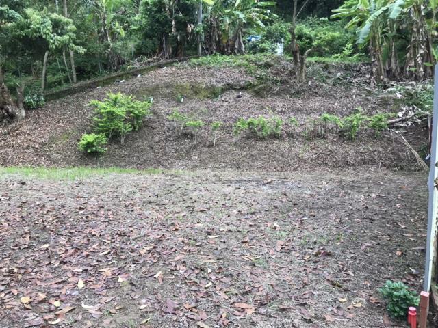 南投南投市農地-9