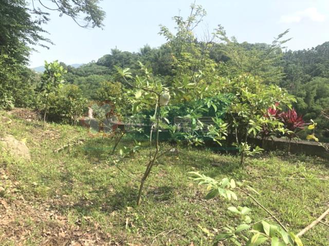 南投南投市農地-11