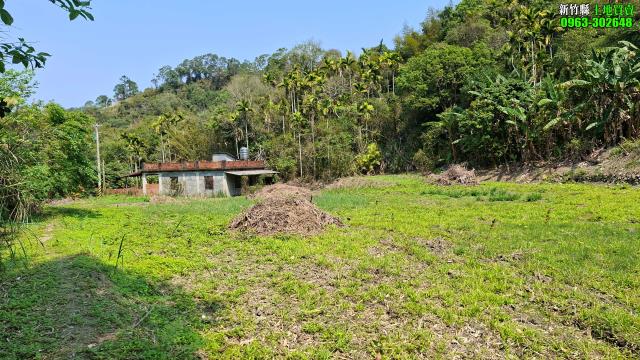 新竹北埔農地-8