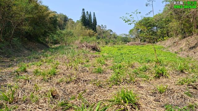 新竹北埔農地-10