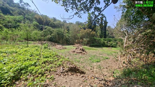 新竹北埔農地-11