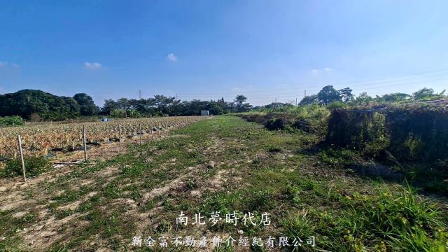 新市農地-4