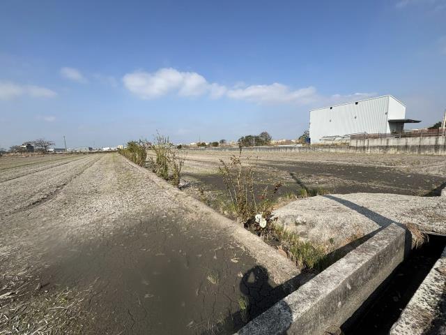 沙鹿農地-6