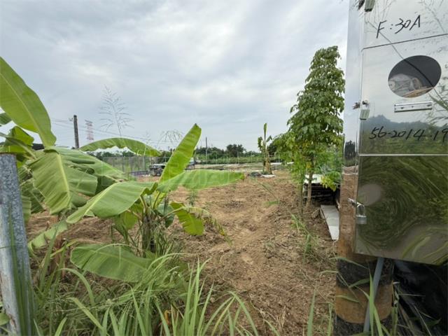 高雄大社農地-8