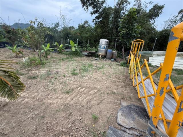 高雄大社農地-3