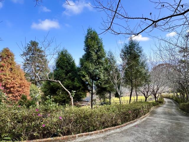 南投國姓農地-6