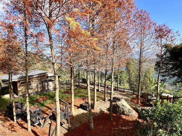 南投國姓農地-2