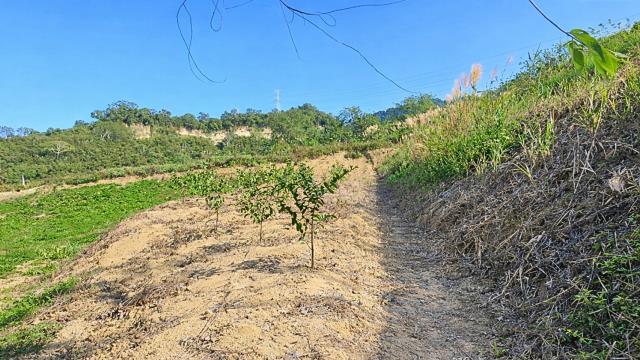 新竹北埔農地-3