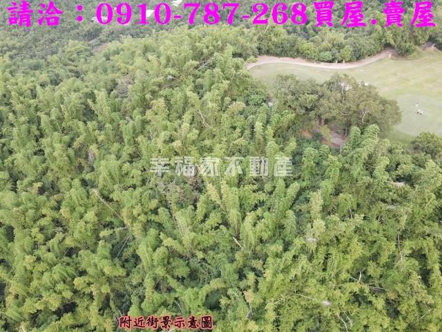 高雄大社農地-9