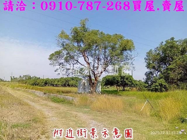 台南新市農地-9