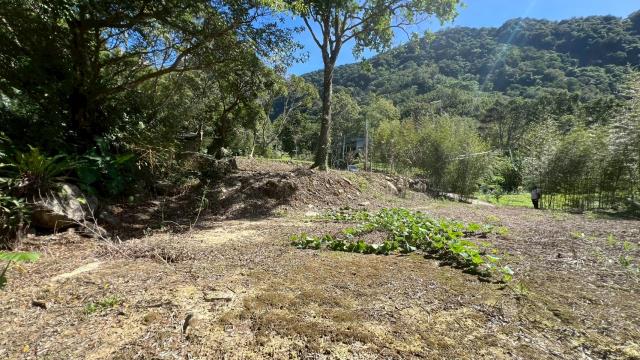 新竹尖石農地-12